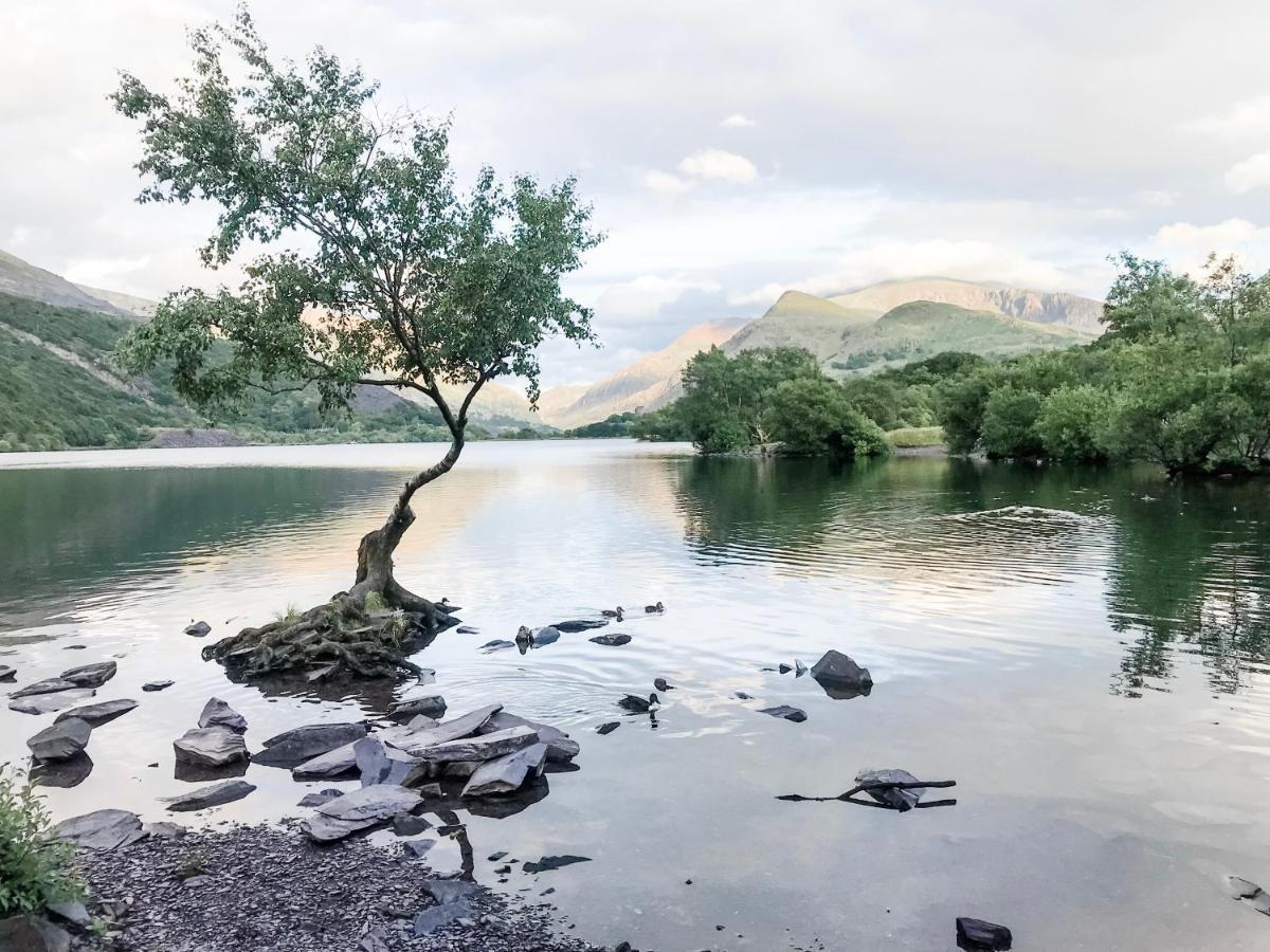 Snowdonia Stone * Бетгелерт